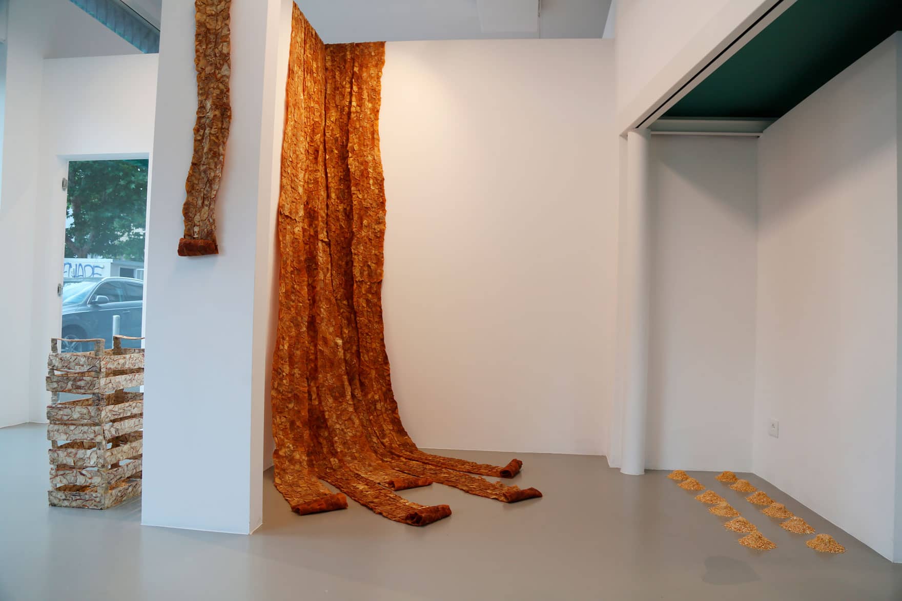 Allestimento della mostra Viscosità spagiriche in galleria