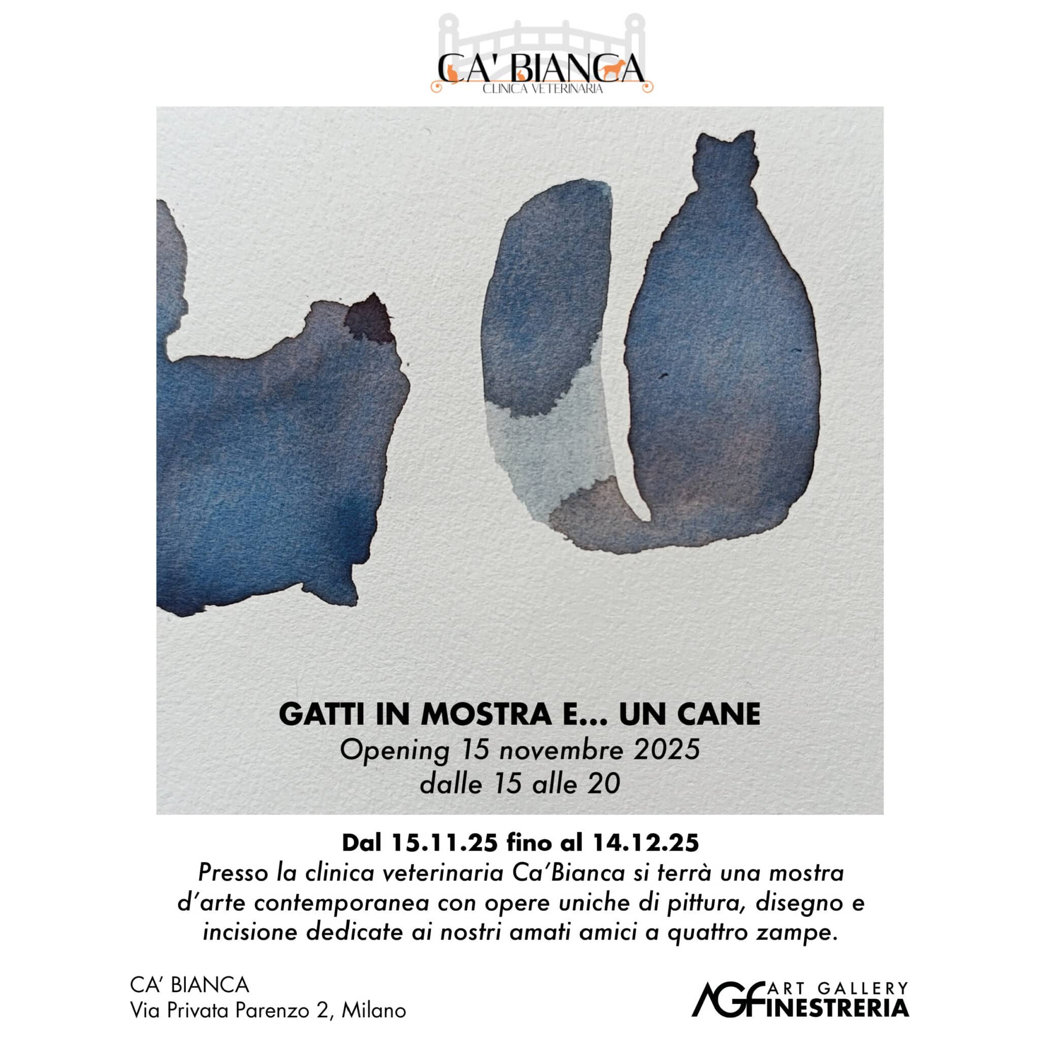 Locandina Gatti in mostra e un cane