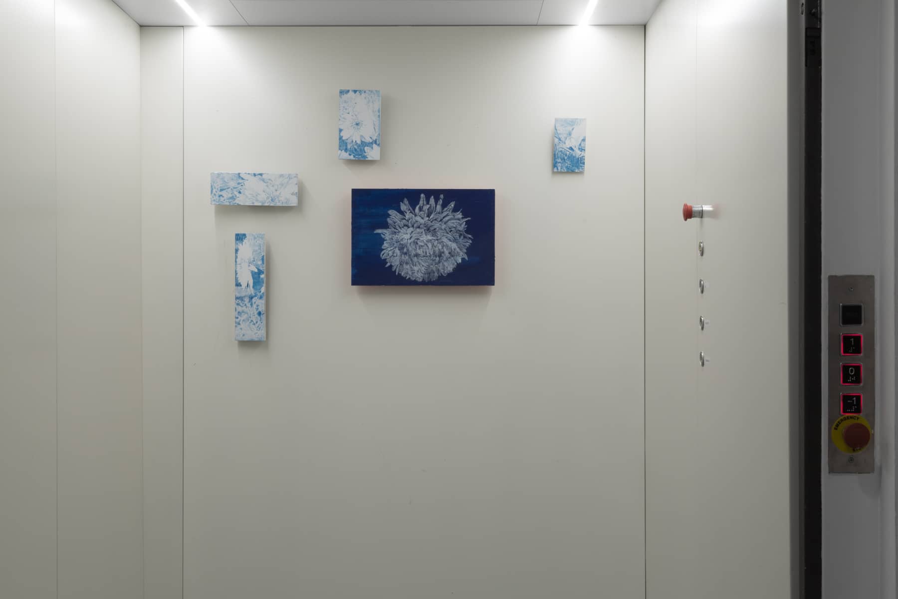 Vedute di allestimento, immagine 6