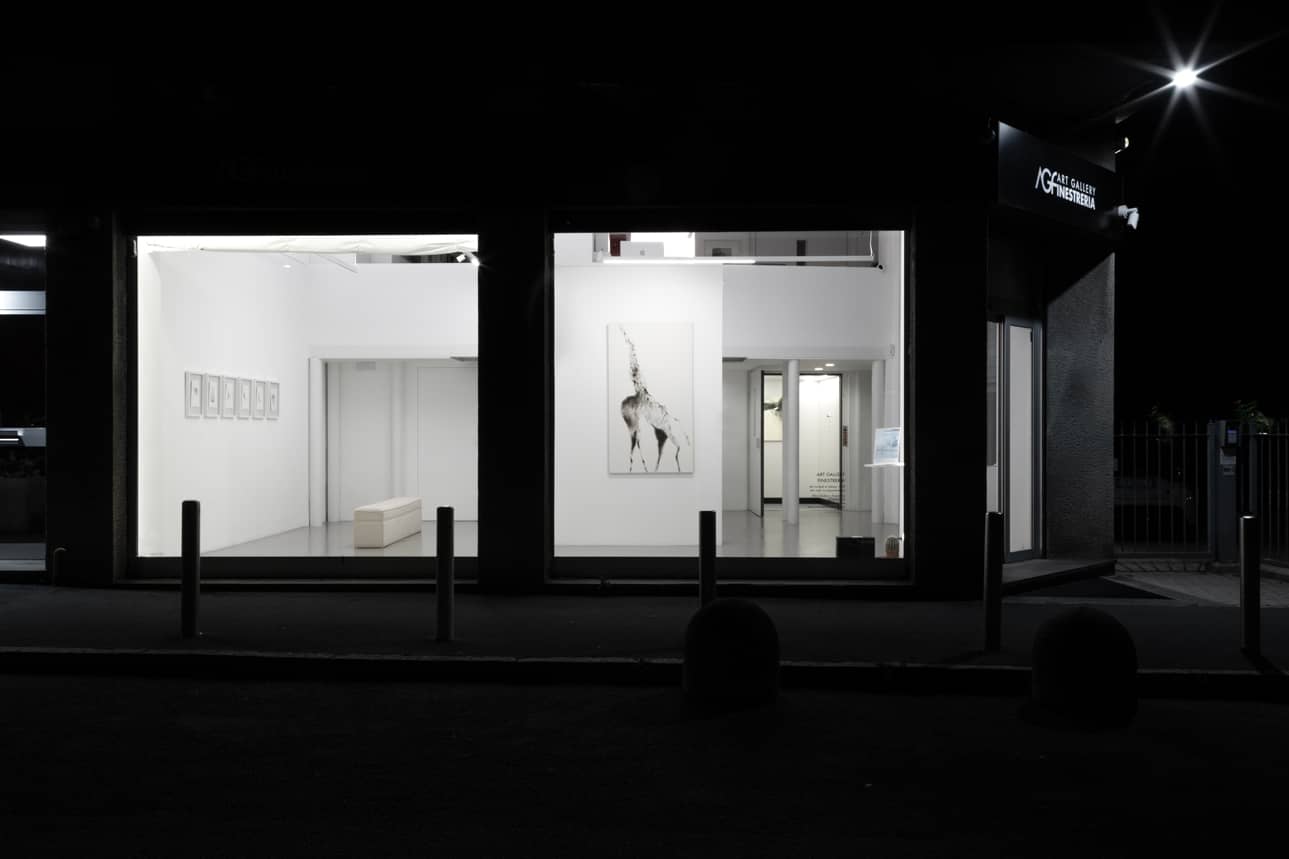 Vedute di allestimento, immagine 1