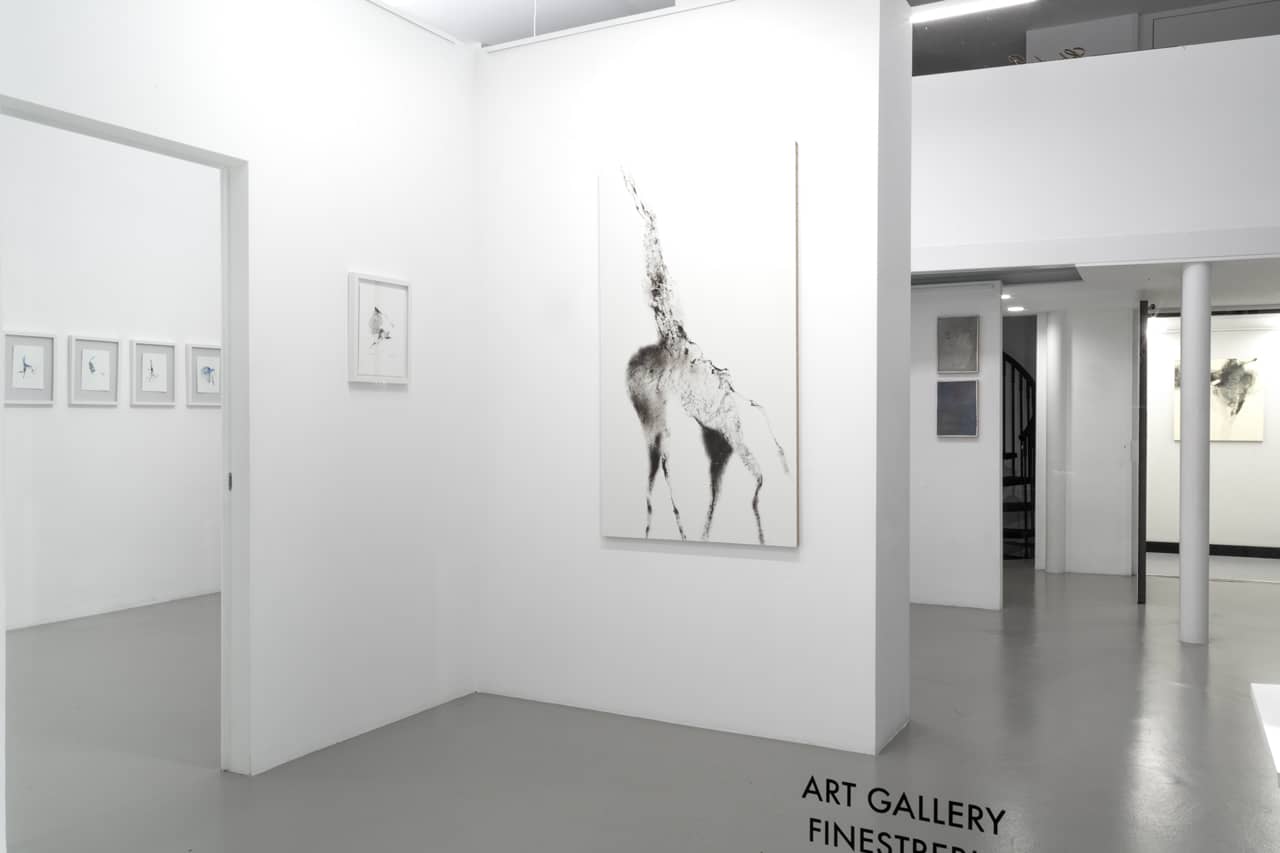 Vedute di allestimento, immagine 2