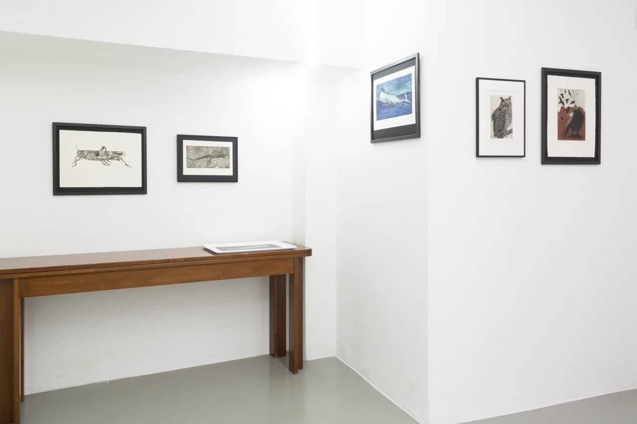 Vedute di allestimento, immagine 5