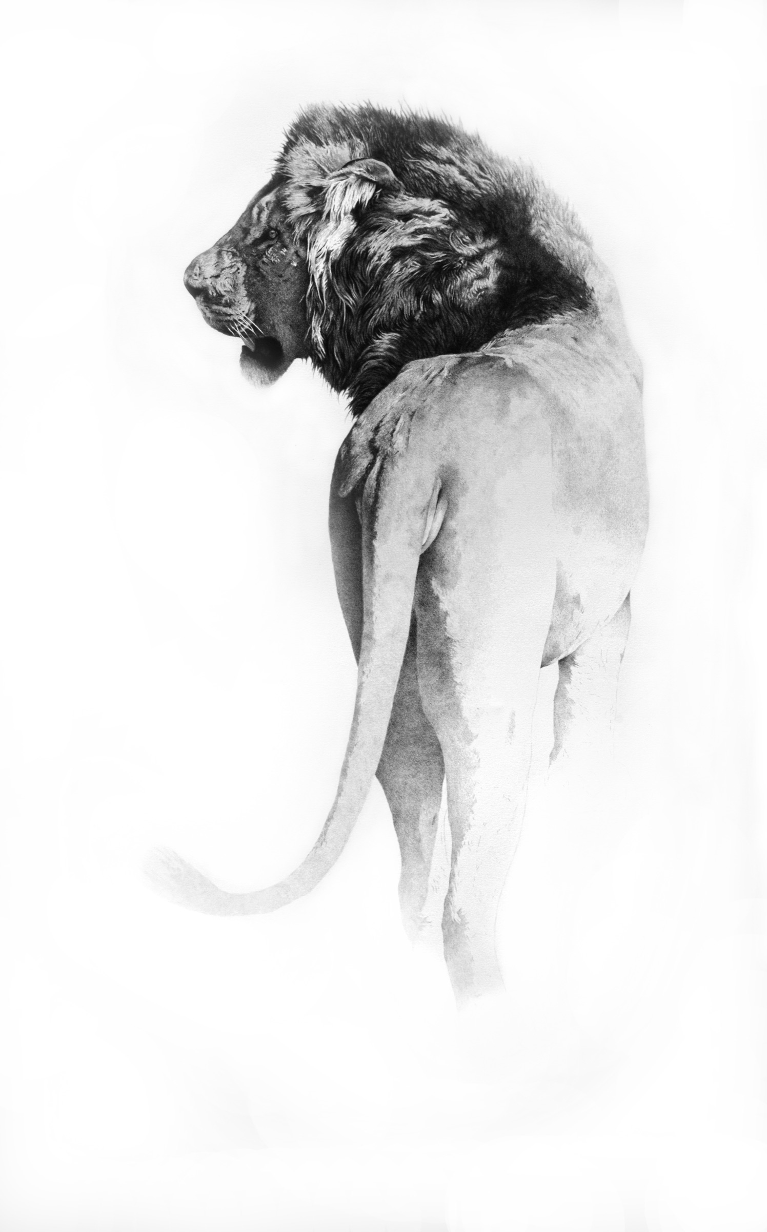 Immagine della mostra Giorgia Oldano