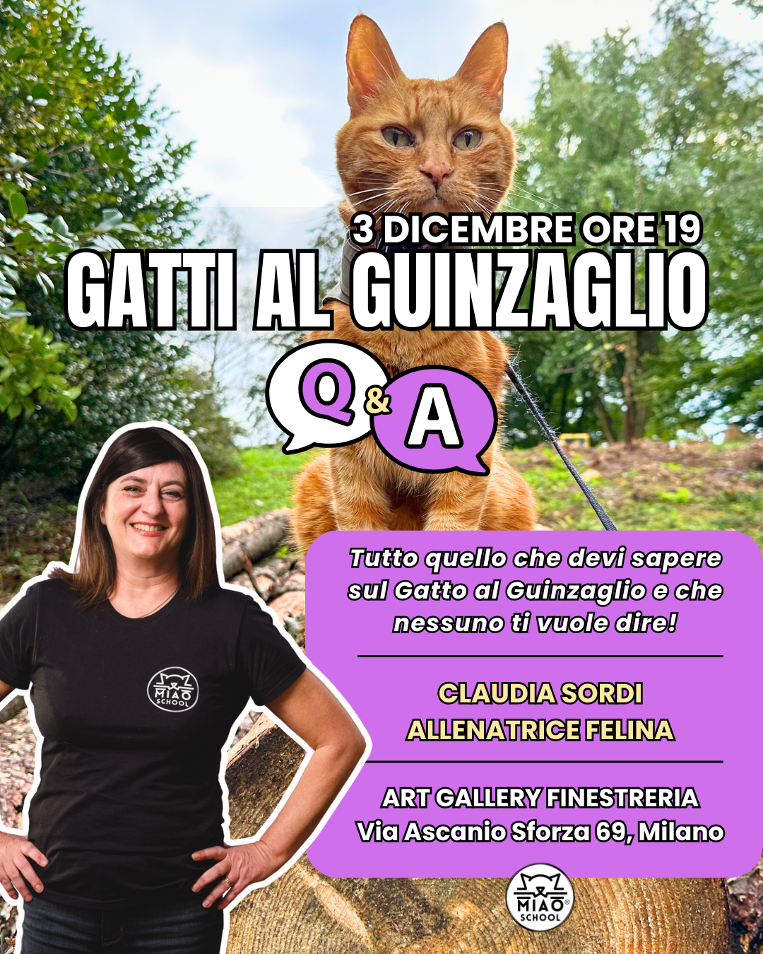 Mostre ed eventi: Gatti al guinzaglio