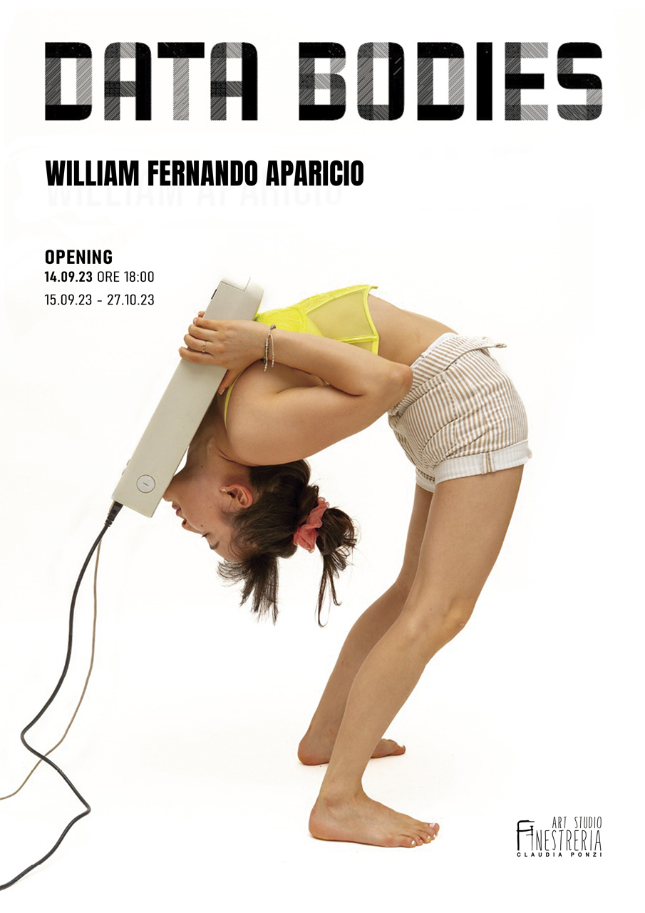 Poster Data Bodies William Fernando Aparicio