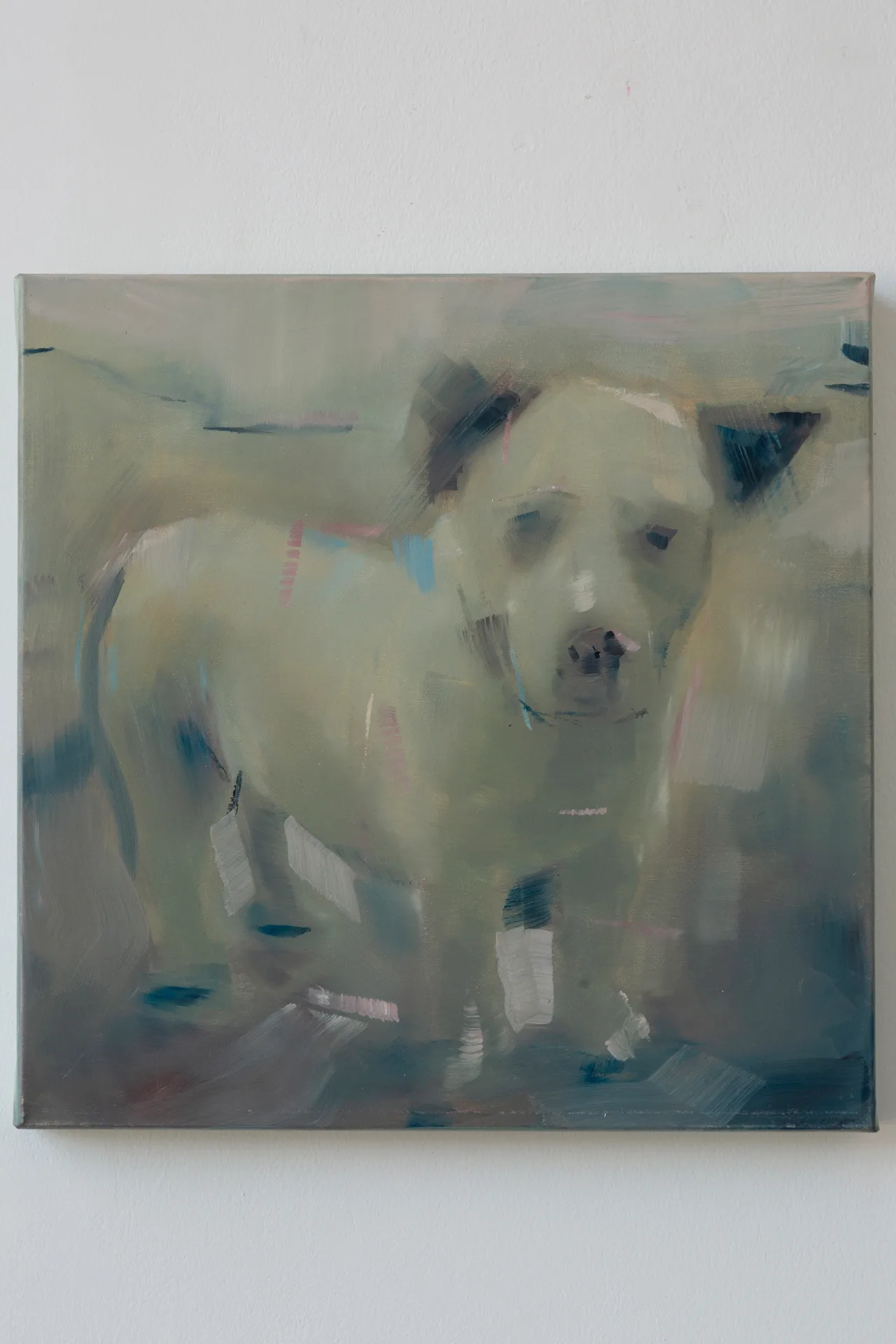 Leo Ragno | A dog