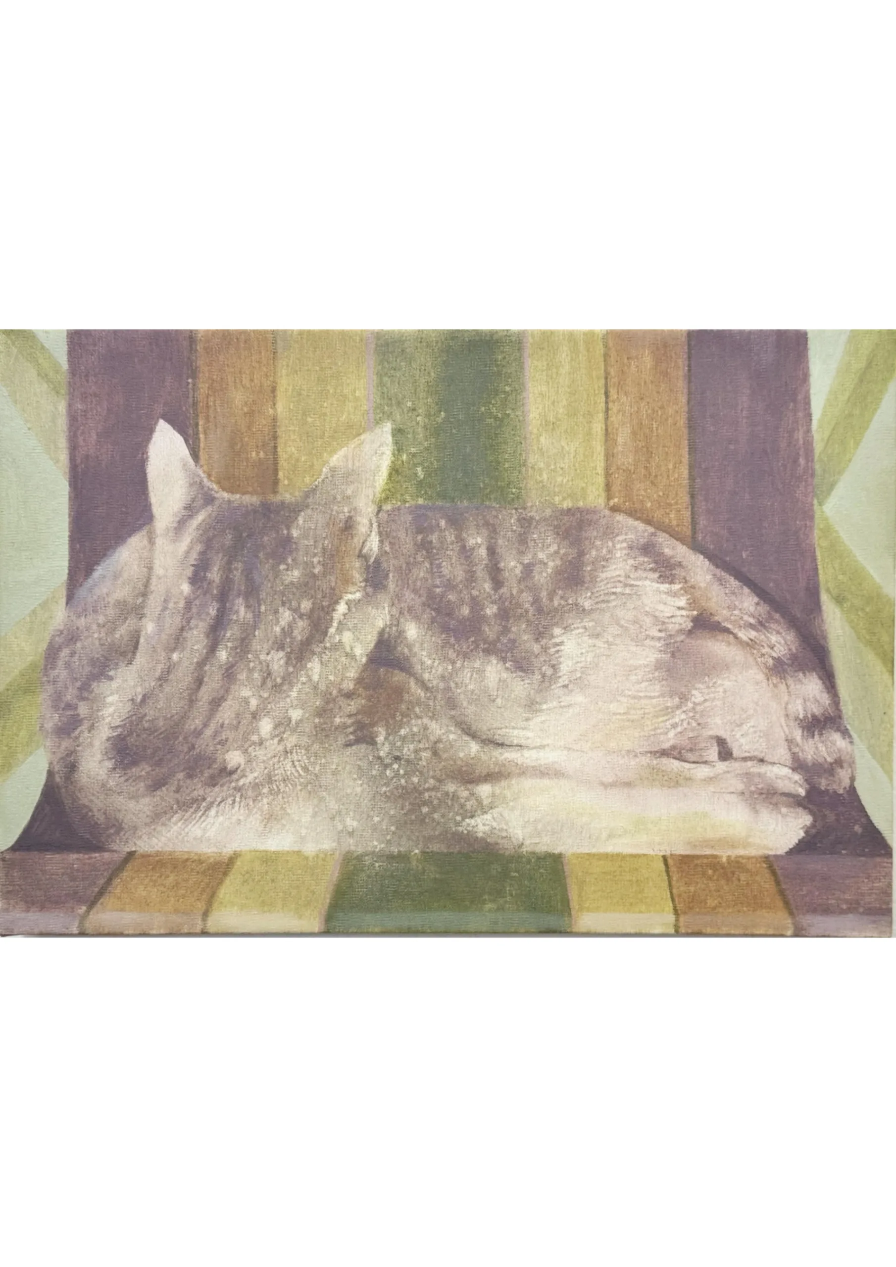 Martina Cinotti | Tuttigatti