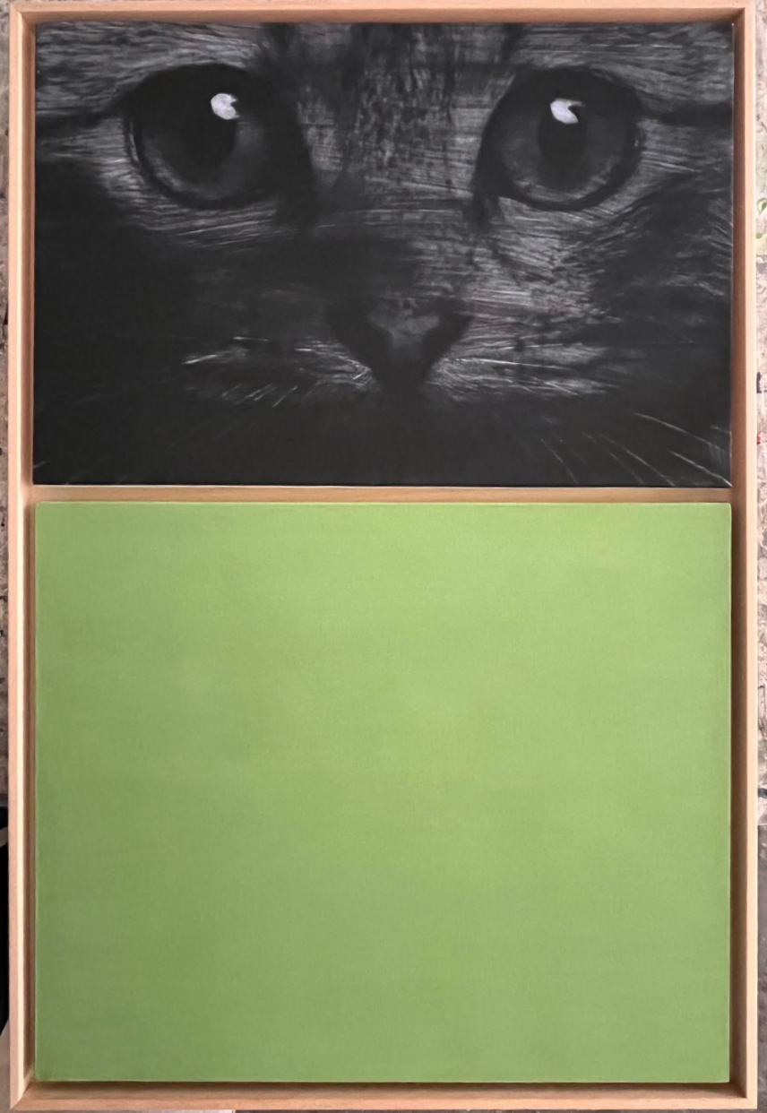 Nataly Maier | Gatto