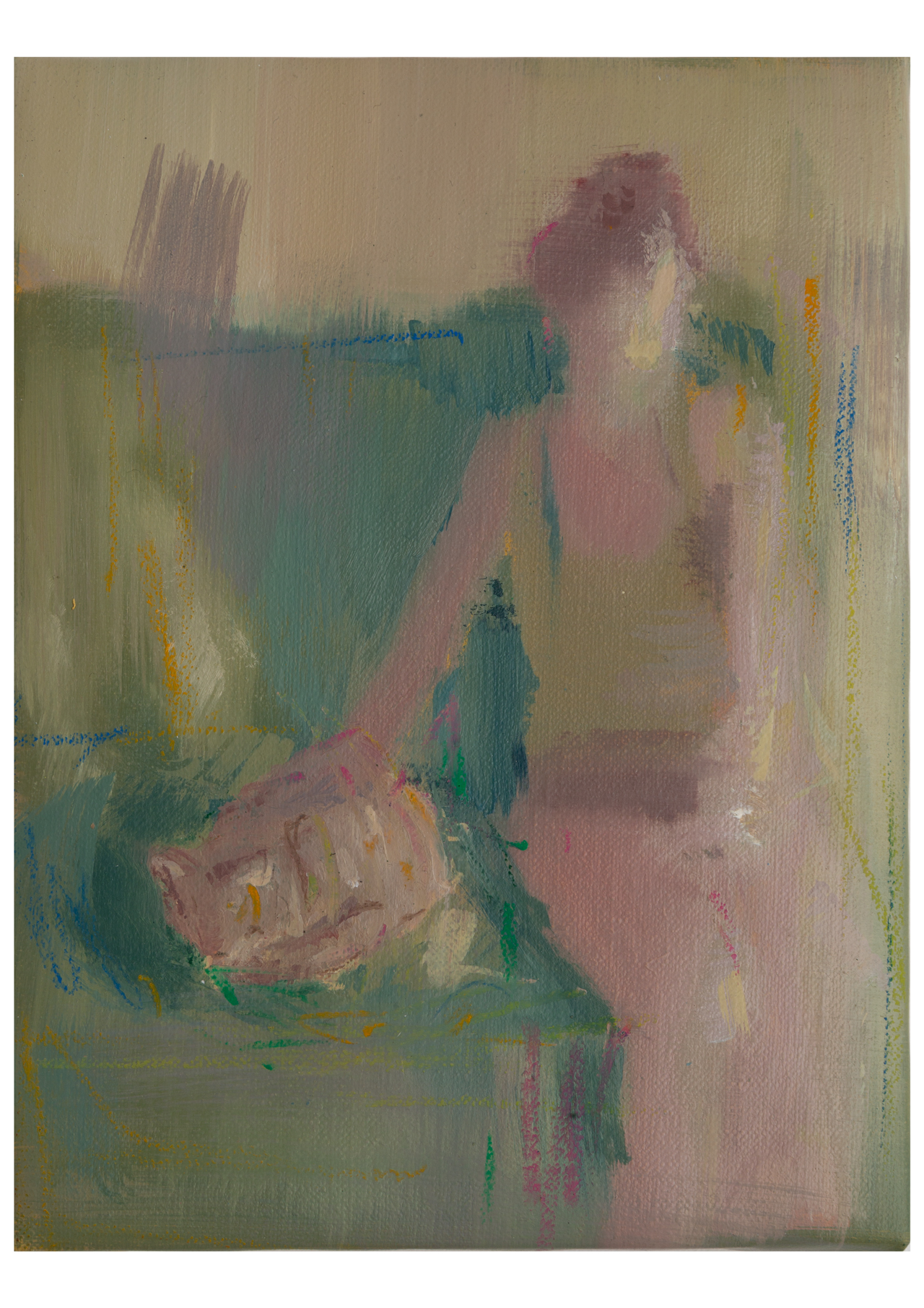 Tuttigatti | Leo Ragno