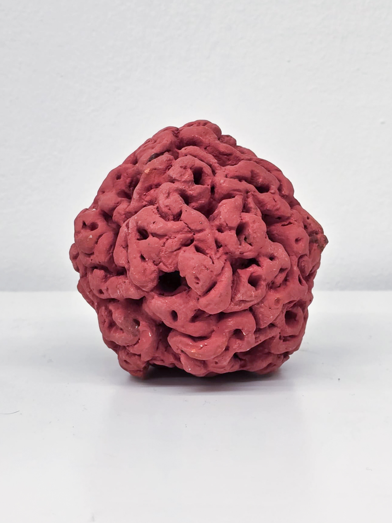 Luisa Elia terracotta con ingobbio