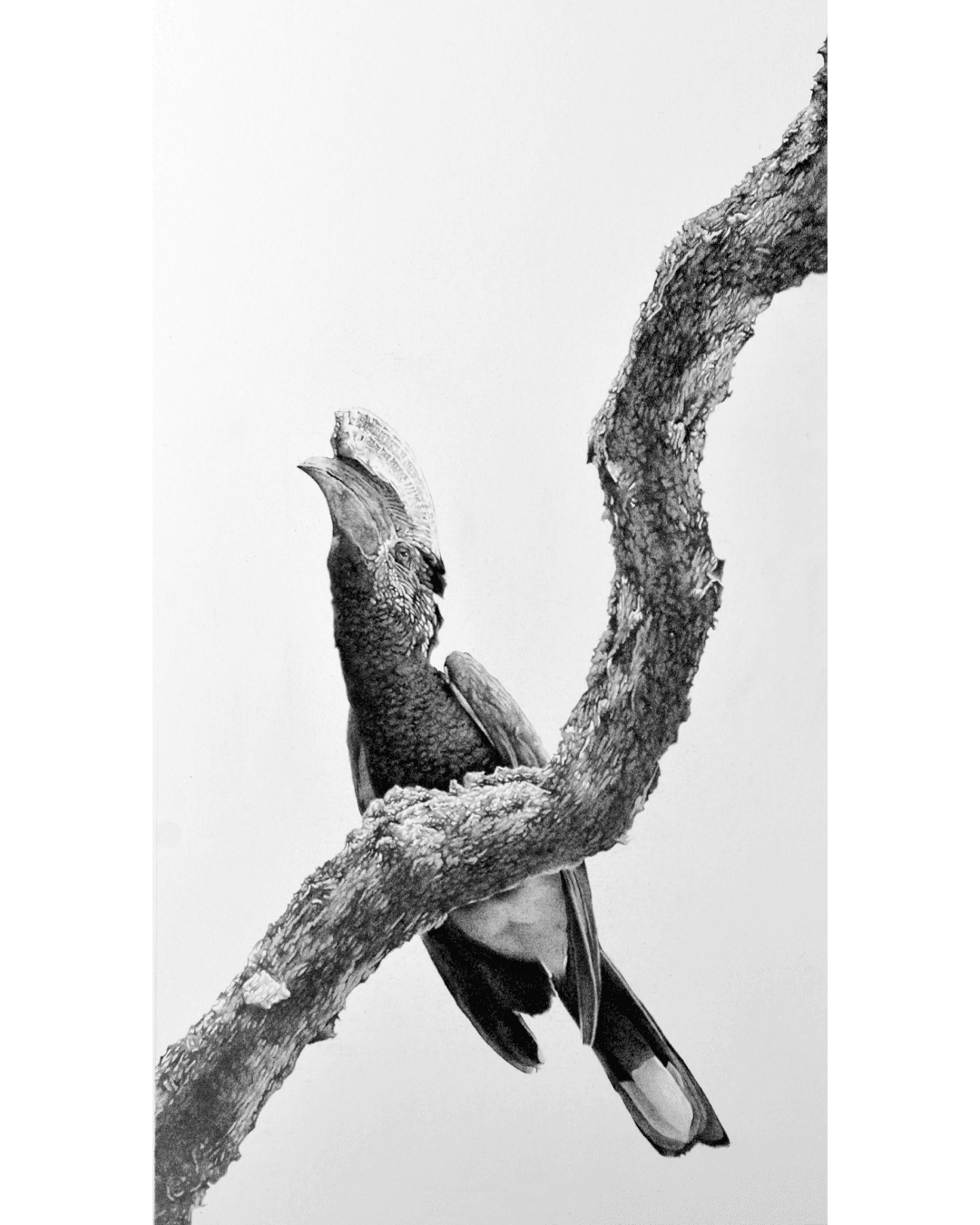 Giorgia Oldano, Above us only sky, 2016